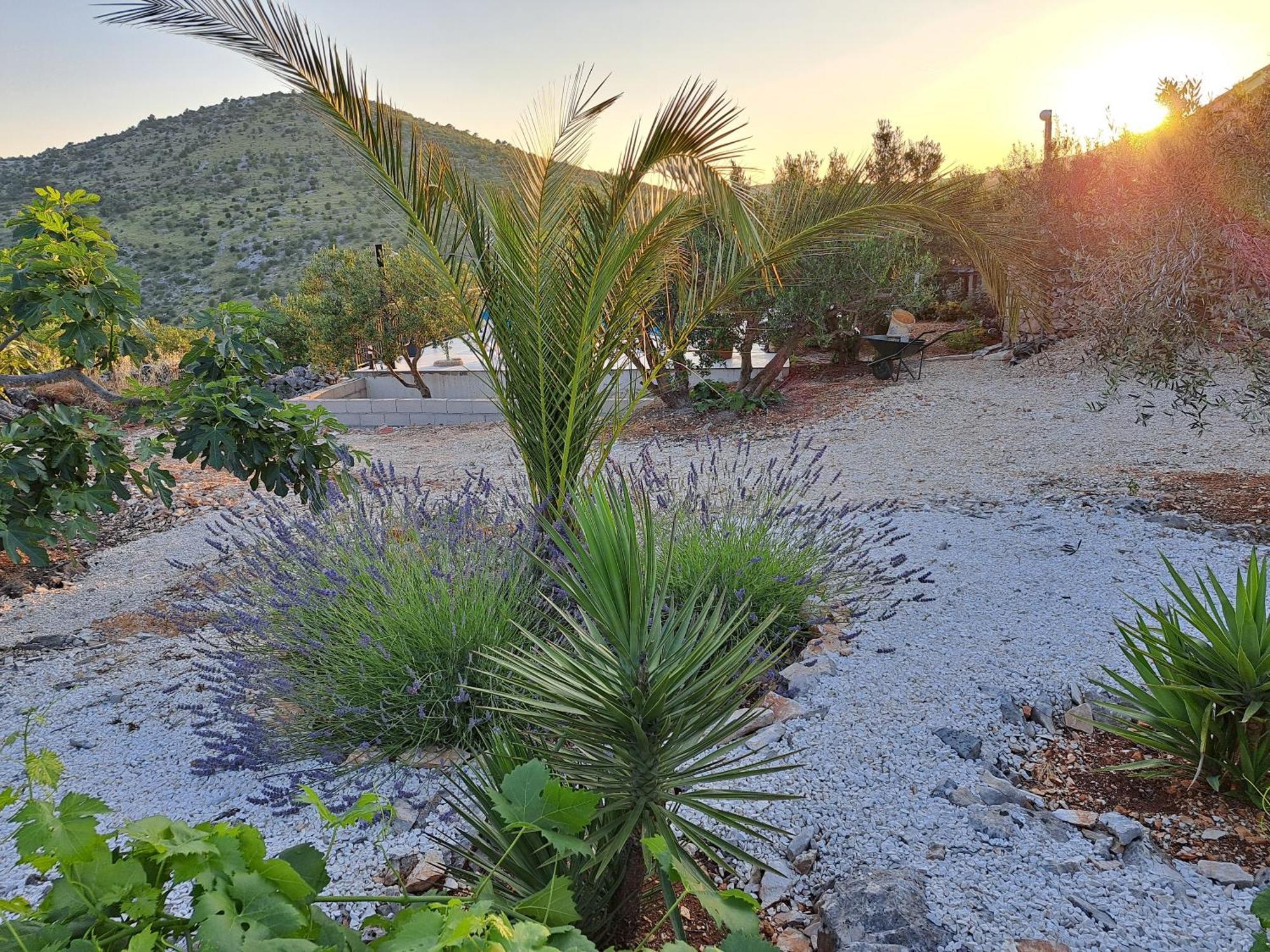 Villa Casa Mia Gornji Seget Dış mekan fotoğraf