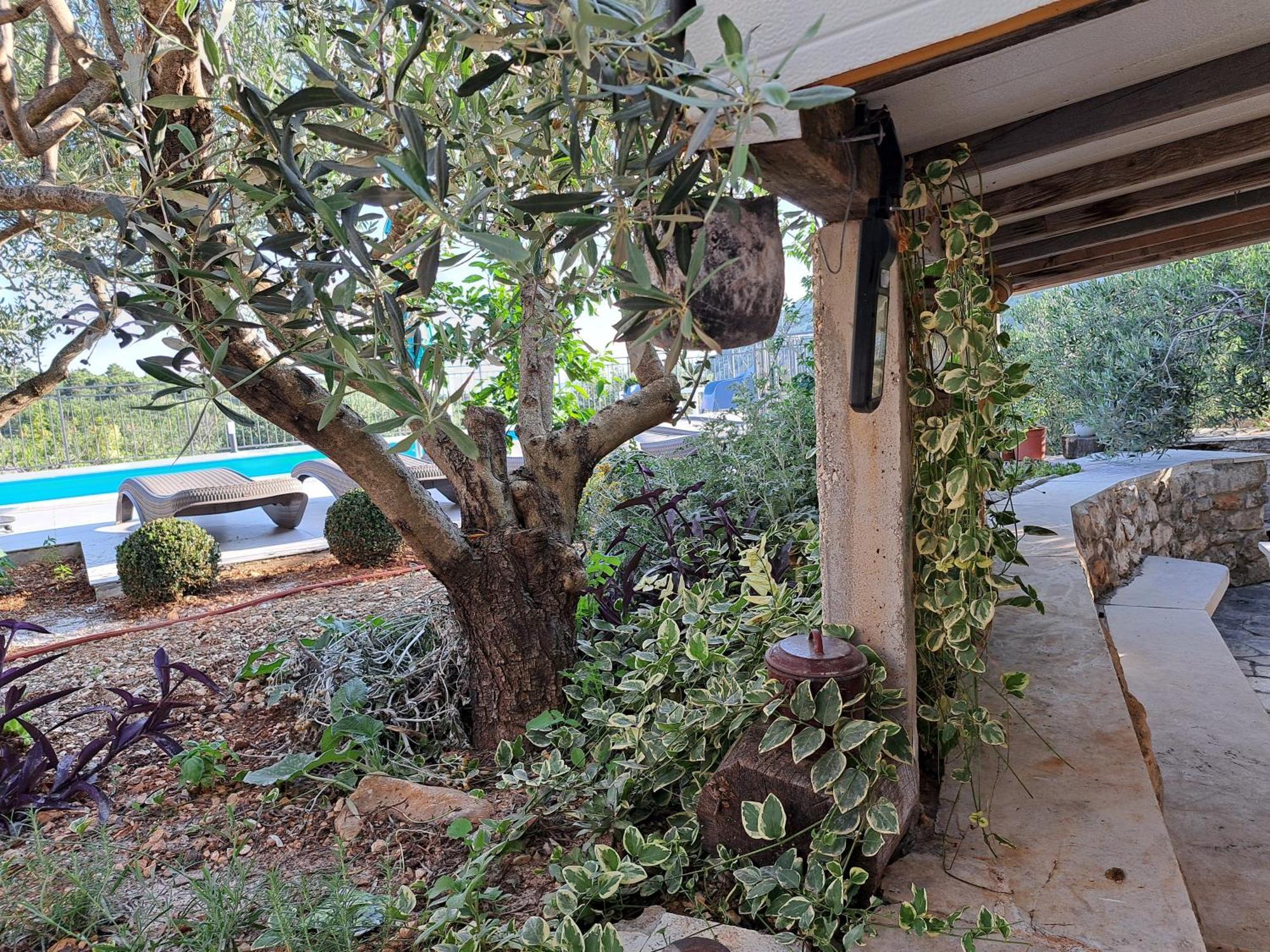 Villa Casa Mia Gornji Seget Dış mekan fotoğraf