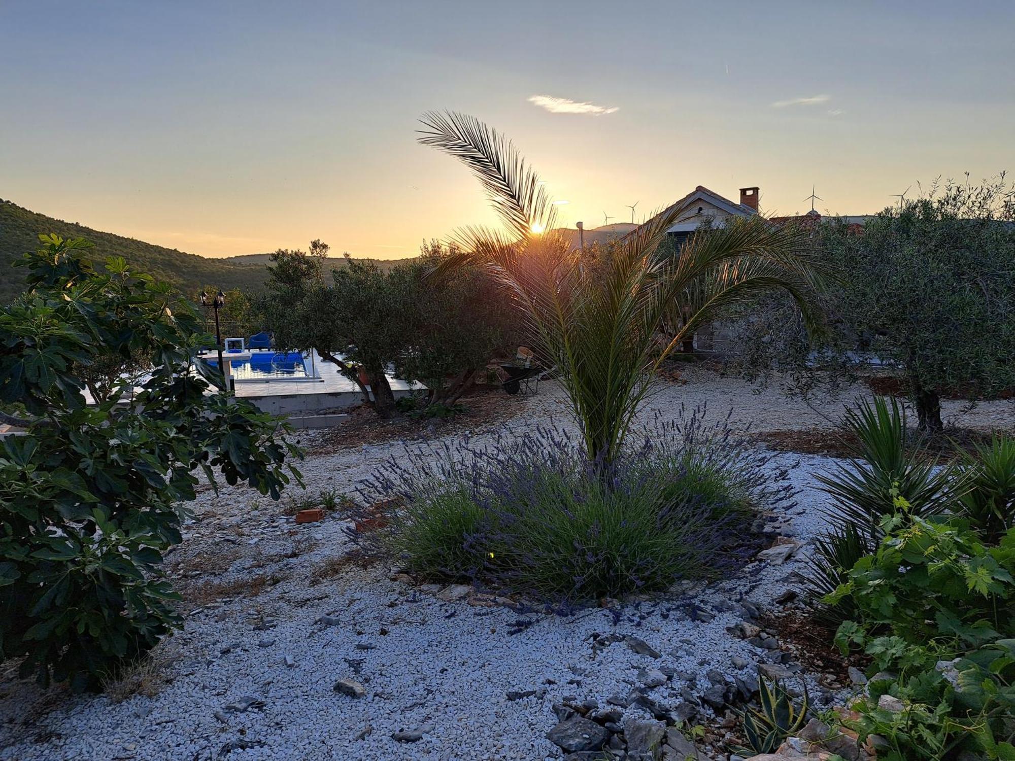 Villa Casa Mia Gornji Seget Dış mekan fotoğraf